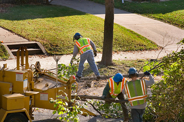 Leaf Removal in Slinger, WI